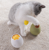 Crazy Egg Cat Toy
