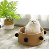 Stylish Cat Basket Bed