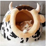 Cat Cow Party House