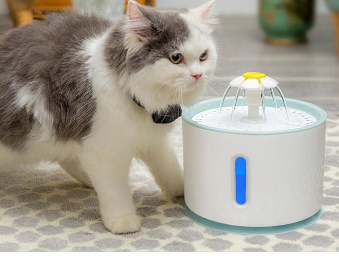 Automatic Filtered Water Fountain for Cats