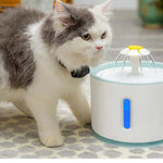 Automatic Filtered Water Fountain for Cats