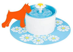 Automatic Filtered Water Fountain for Cats