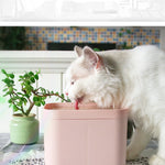 Pet Cat Smart Drinking Water Fountain