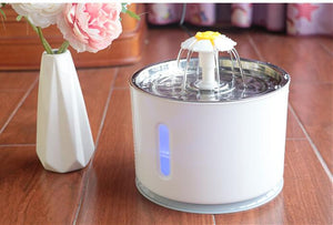 Automatic Filtered Water Fountain for Cats