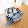 Shark Cat Cave