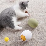 Crazy Egg Cat Toy