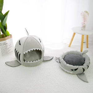 Shark Cat Cave