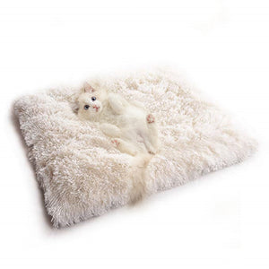 Fluffy Convertible Cat Bed