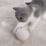 Crazy Egg Cat Toy