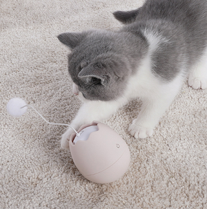 Crazy Egg Cat Toy