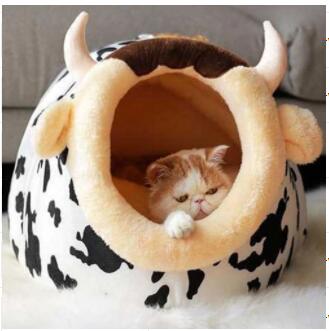 Cat Cow Party House